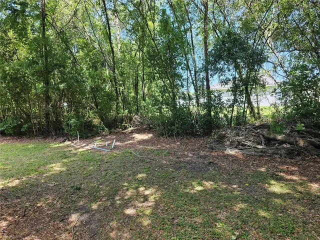 Looking at the back of the property