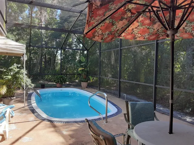 Pool with screen enclosure