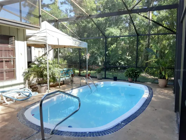Pool privacy tropical