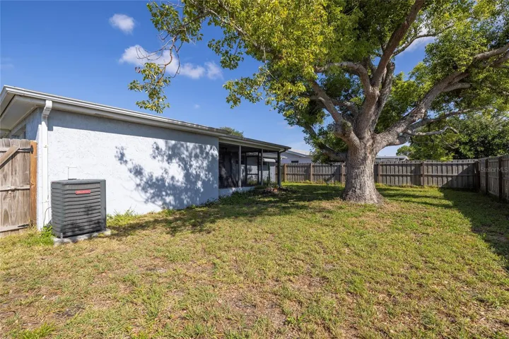 Large Back Yard