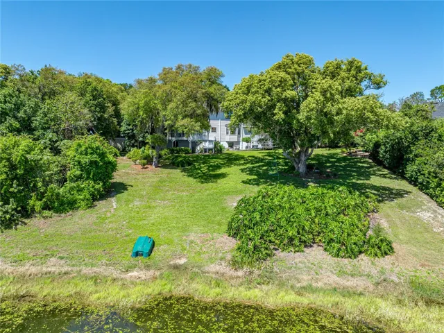 Back view from lake