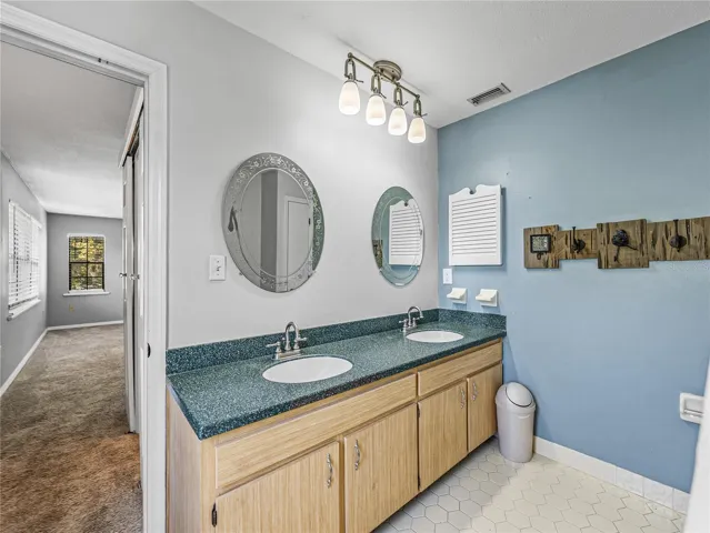 Primary bath vanity