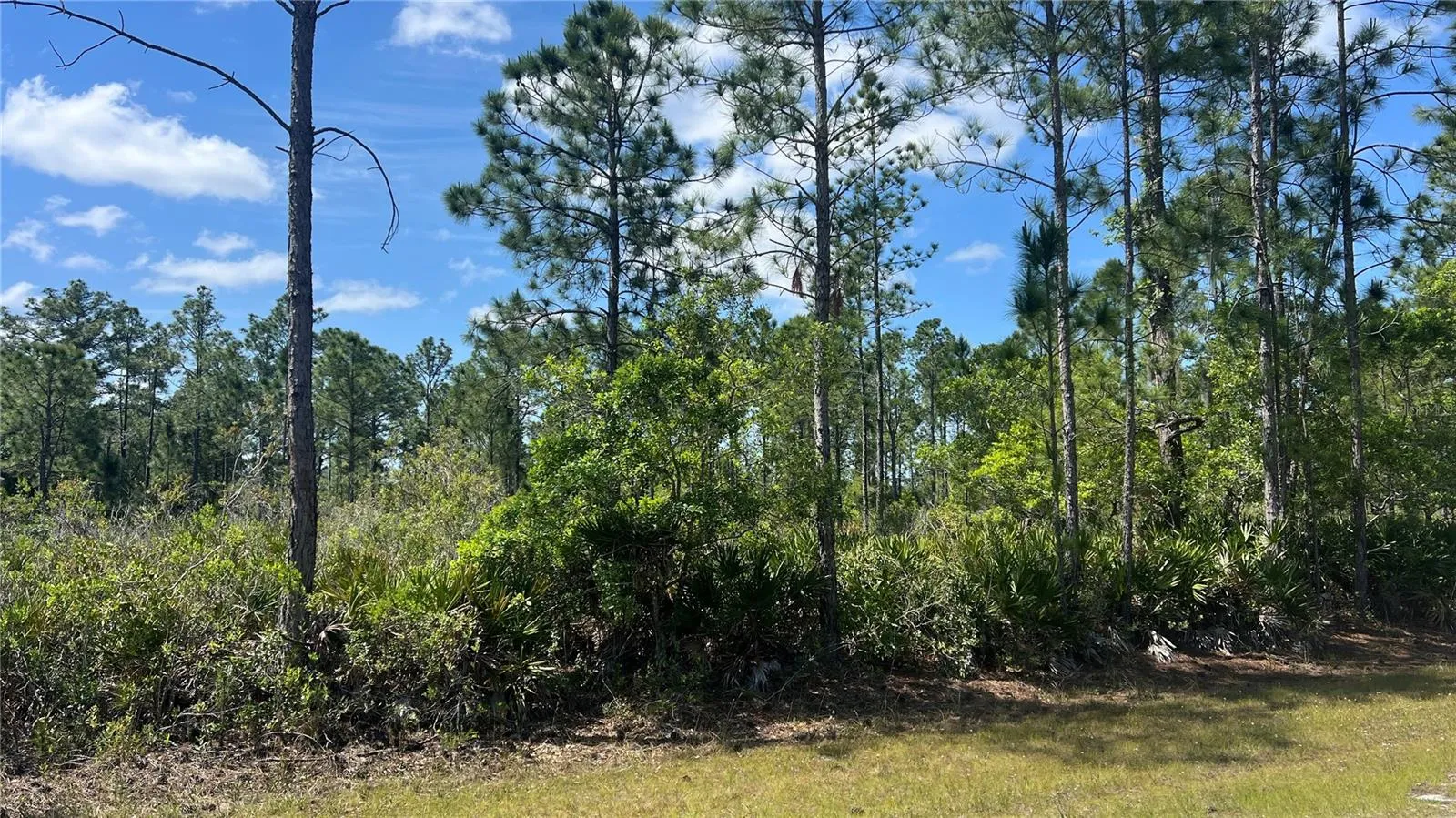 Lot Pic #1