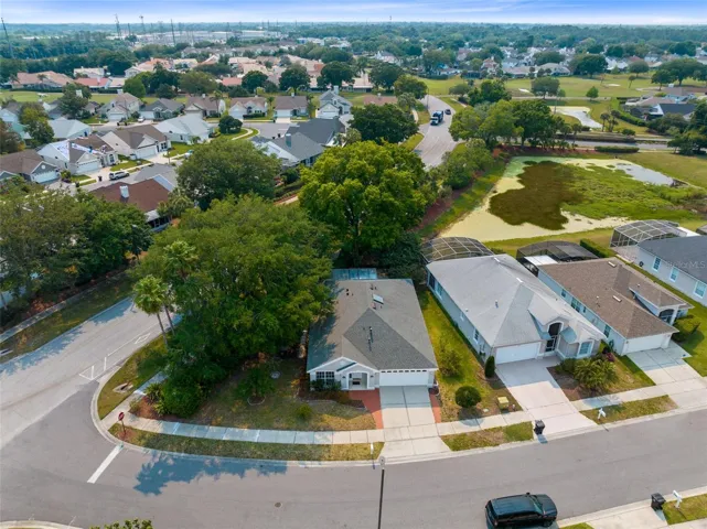 Bird View