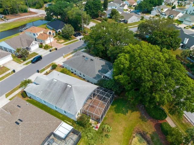 Bird View