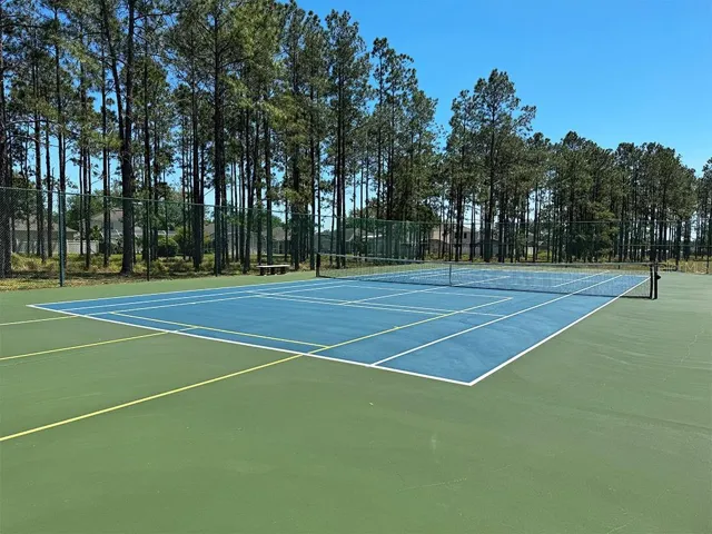 Tennis court community