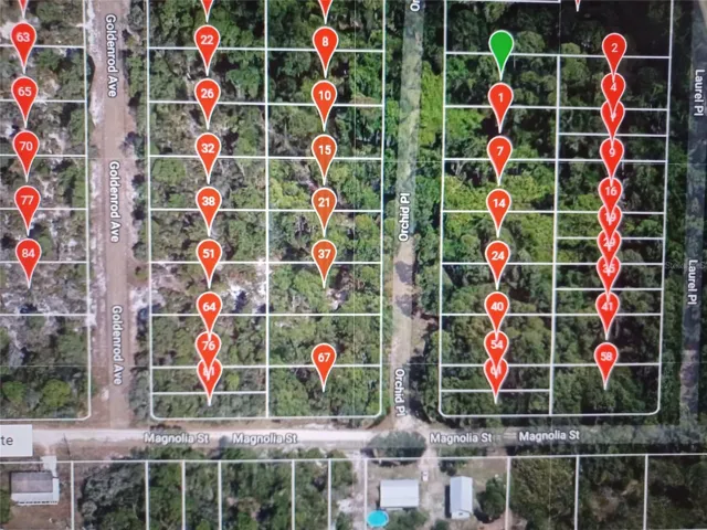 Couple homes close by the lot