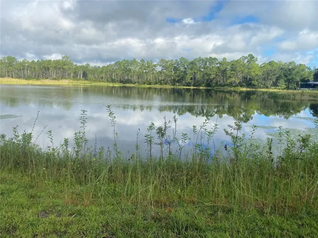 Peaceful, tranquil view of the lake.