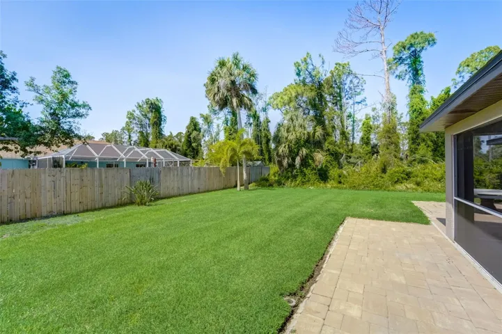 Back Garden View