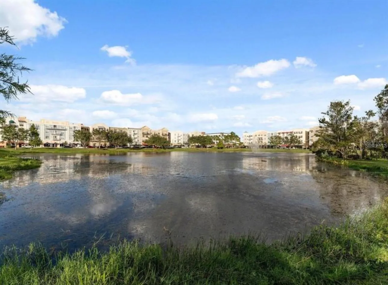 Avalon Park Area