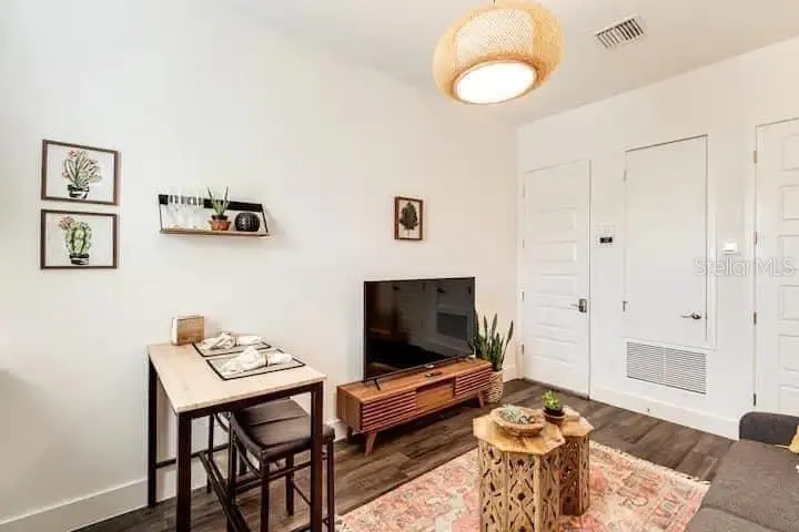 Entrance and Living Room Area