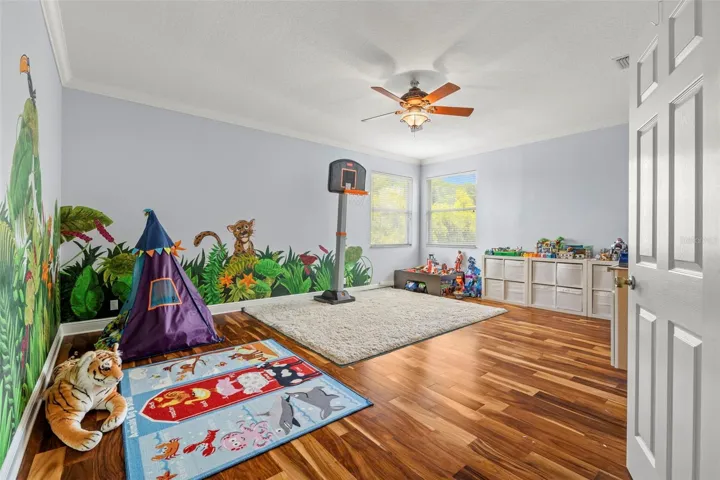 Bonus Room/Jungle Book Mural