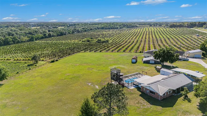 Breathtaking orange grove views and their delicious orange blossom smell!