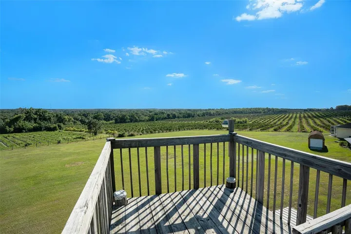 One-of-a-kind 17-foot observation tower. Imagine the breathtaking orange grove views and their delicious orange blossom smell!