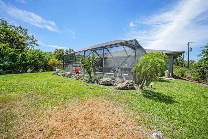 Back yard