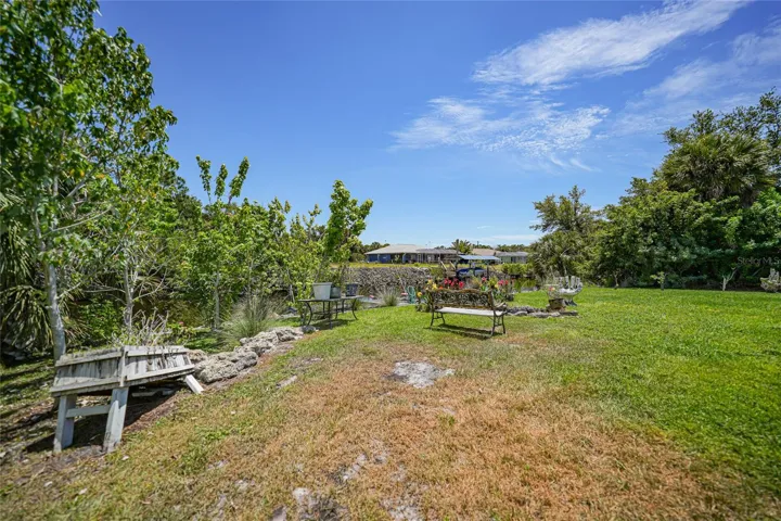 Back yard