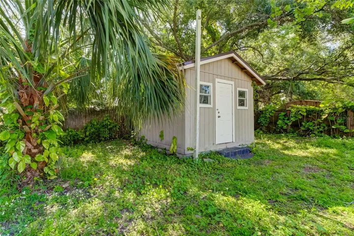 shed in back yard