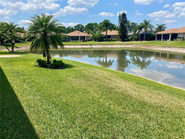 Pond behind home
