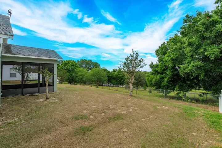 Back Yard 2