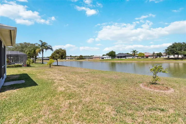 Yard/Pond