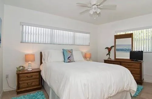 313 palm