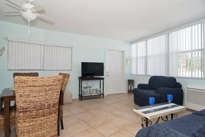 313 palm