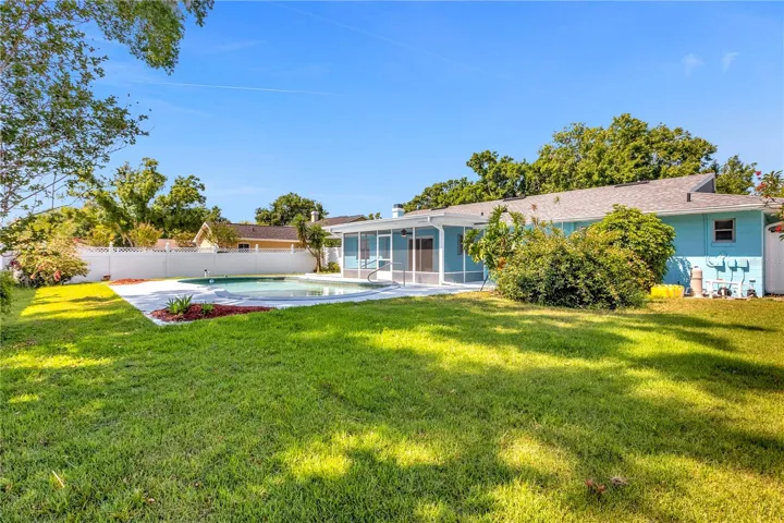 Pool and Back Yard