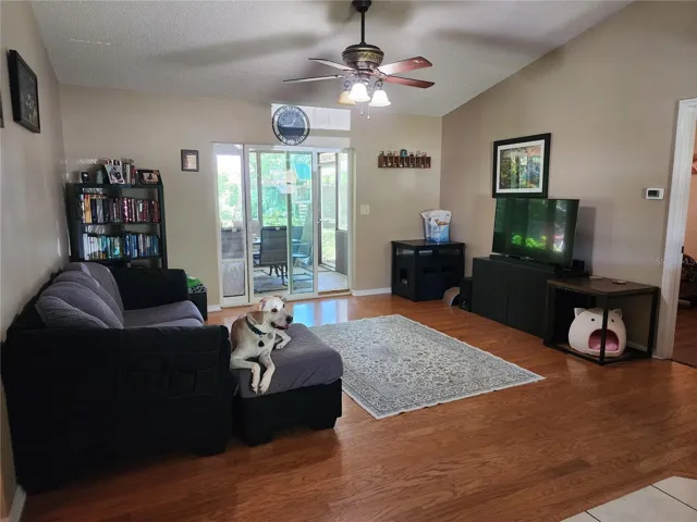 Living room (dog not included)