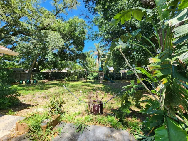 Backyard