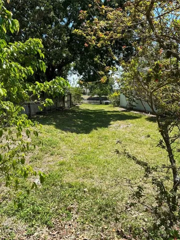 Pond View from Rear Yard