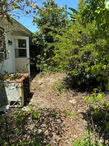 Rear Yard