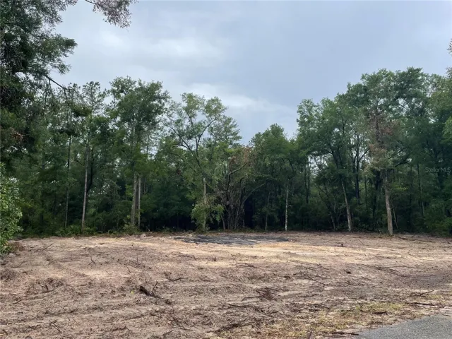 1-acre lot with woods for privacy