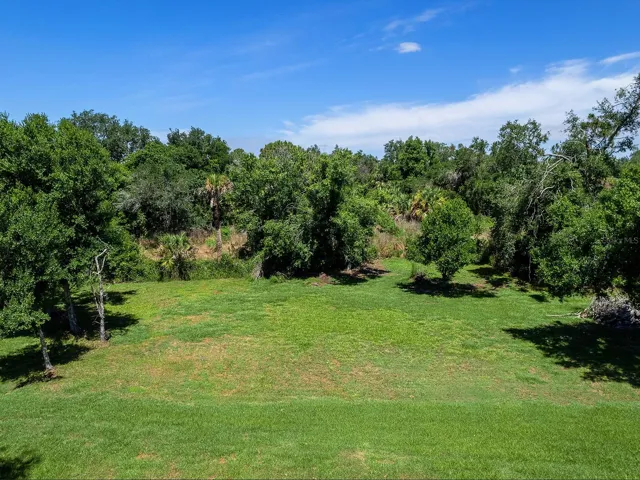 Expansive back yard.