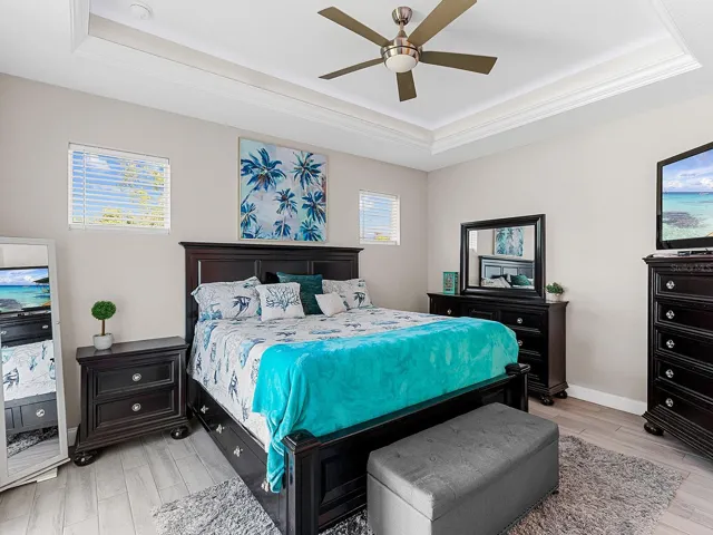 Master BR withtray ceiling and ambient light