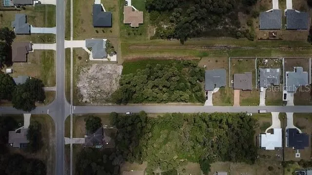 Lot 41