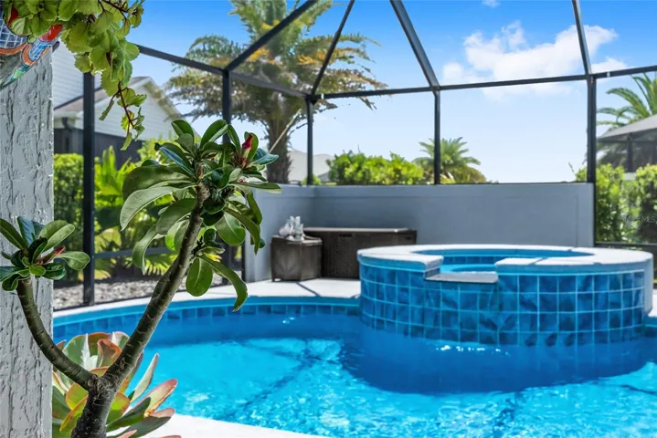 View of POOL & SPA framed by succulent plants flourishing inside the SCREEN ENCLOSED LANAI.
