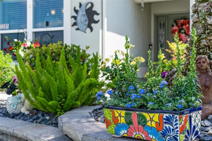 Look at the vibrant colors of the flowering plants!
