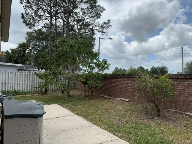 Backyard