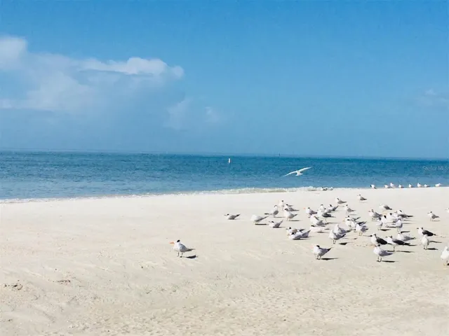 1170