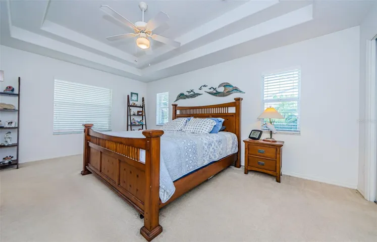 Master bedroom, tray ceiling
