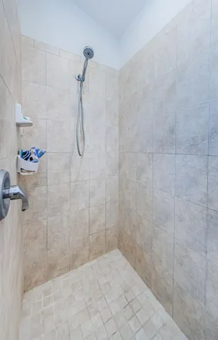 Walkin shower in master bath