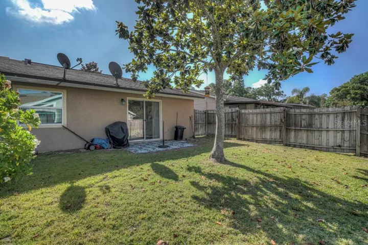Rear view of yard