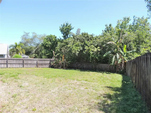 Huge Back Yard