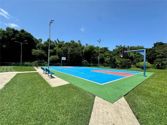 Basketball Court