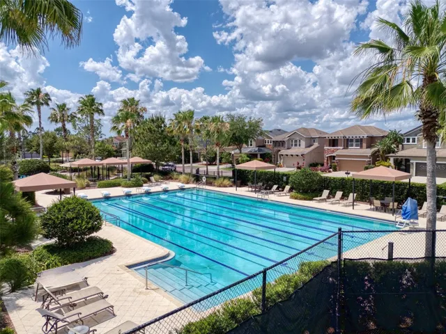 Olympic Style Lap Pool