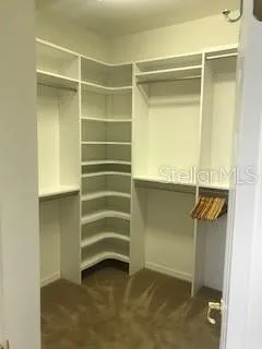 Closet in Master Bedroom