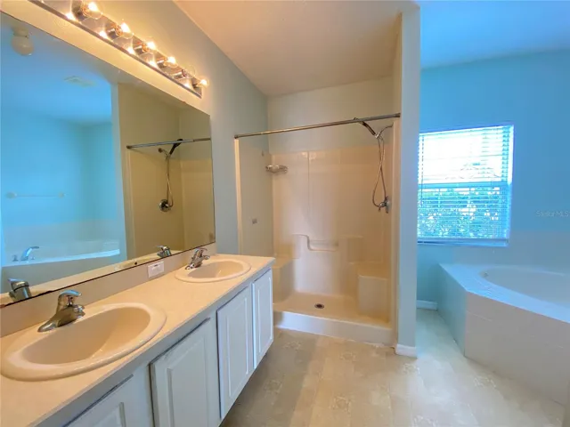Master Bathroom vanity