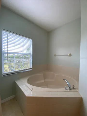 Master Bathtub