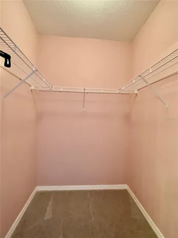 Master Walk in closet
