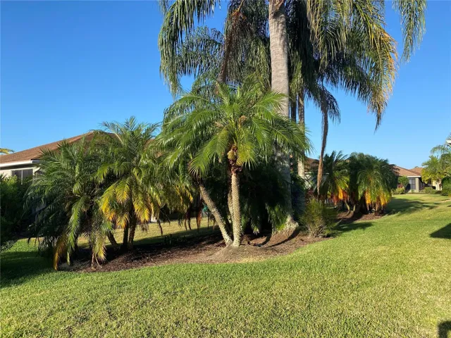 Back yard view of landscaping